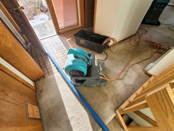 Trusted Charlack, MO Water damage restoration Experts