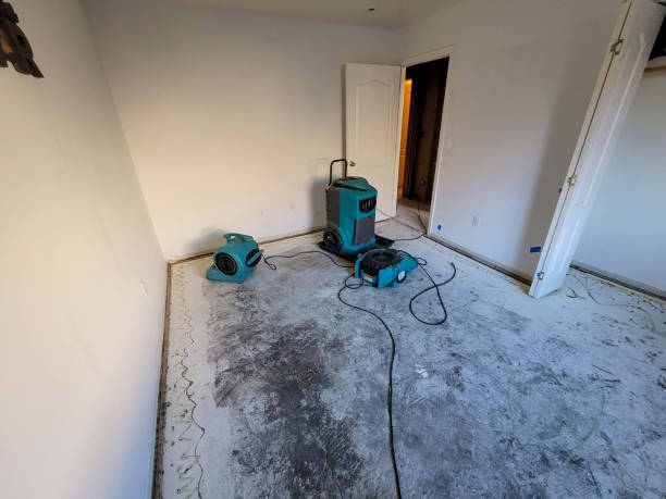  Charlack, MO Water damage restoration Pros