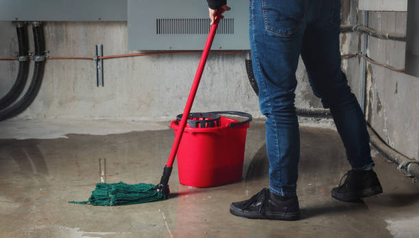 Best Water damage restoration process  in Charlack, MO