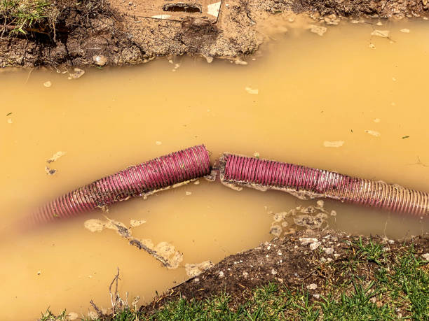 Best Professional water damage repair  in Charlack, MO